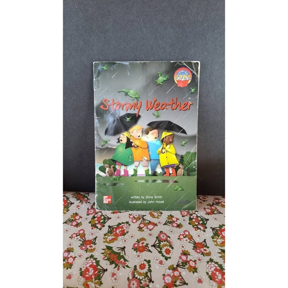 Vintage Stormy Weather Childrens Book by Dona Smith